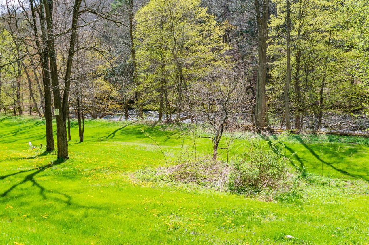 Cozy Creek Inn North Branch Екстер'єр фото